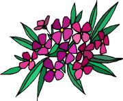 flower clipart 797048