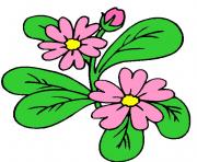 flower clipart 838411