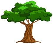 Cartoon Tree PNG Clip Art