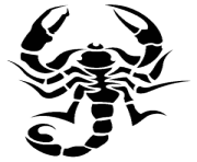 21 tattoo scorpion png image