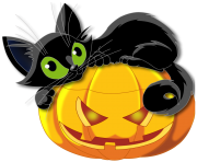 cat pumpkin halloween png picture