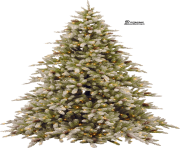 christmas tree png pic