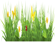 cartoon green grass png