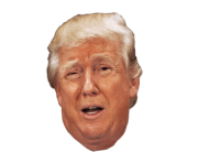 donald trump head wtf png