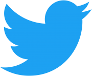 Twitter Bird Png