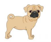 puppy dog clipart