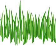 grass png 5