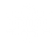 white snowflake png 39