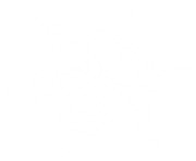 white snowflake png 7