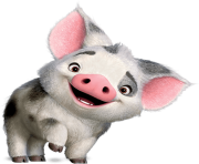 Pua Moana Png 79