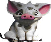 Pua Moana Png 84