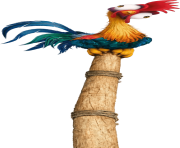 Moana Png 89