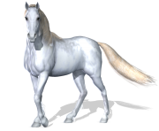 3d horse png 1