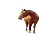 horse png Eohippus 2