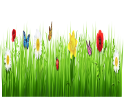 spring grass png clipart cartoon