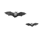 bats png img 1